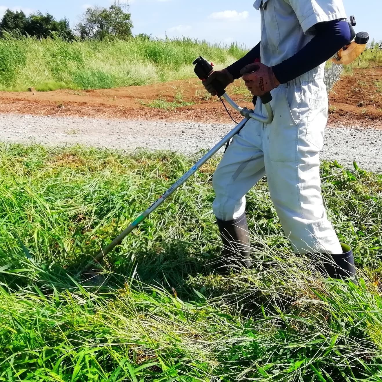 草刈り 刈谷市 | 刈谷市で草刈りならお庭の窓口刈谷市