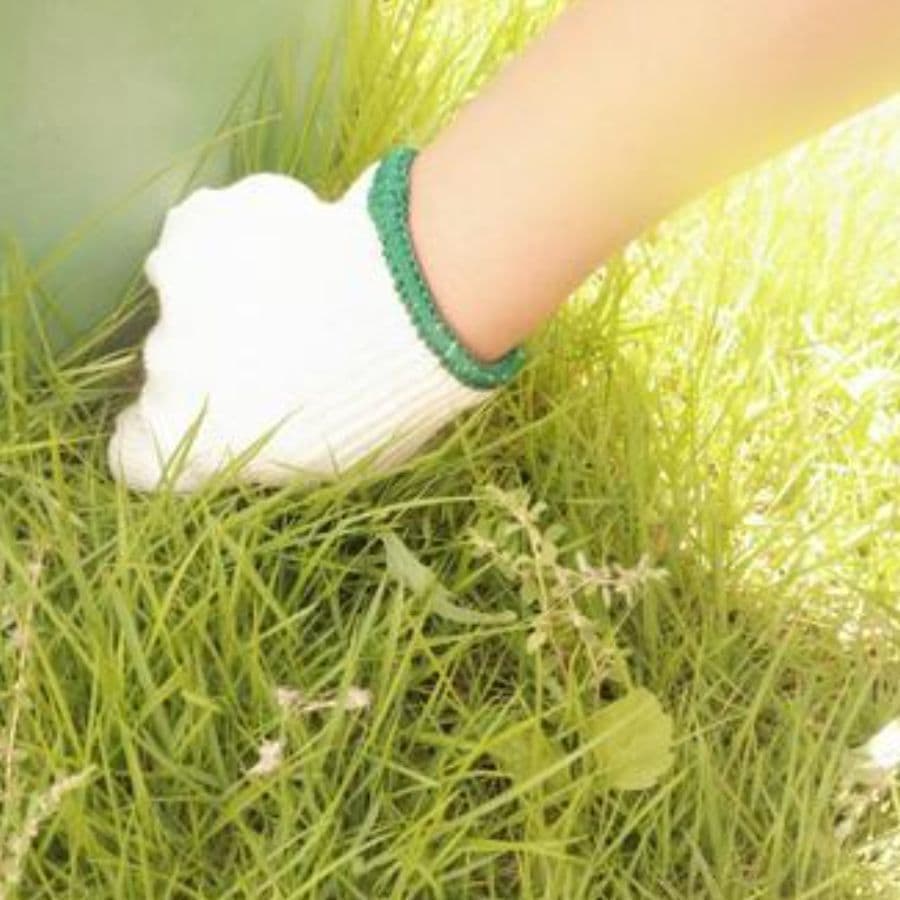 草取り 刈谷市 | 刈谷市で草取りならお庭の窓口刈谷市