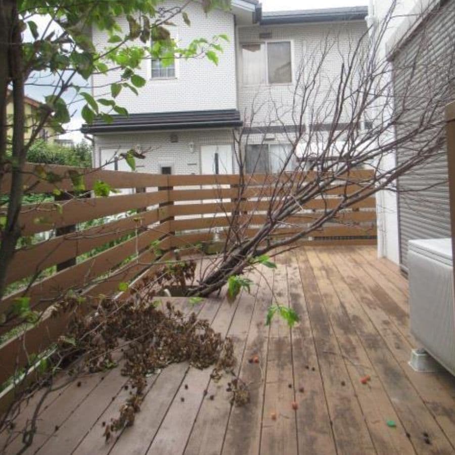 倒木撤去 刈谷市 | 刈谷市で庭木の倒木撤去ならお庭の窓口刈谷市