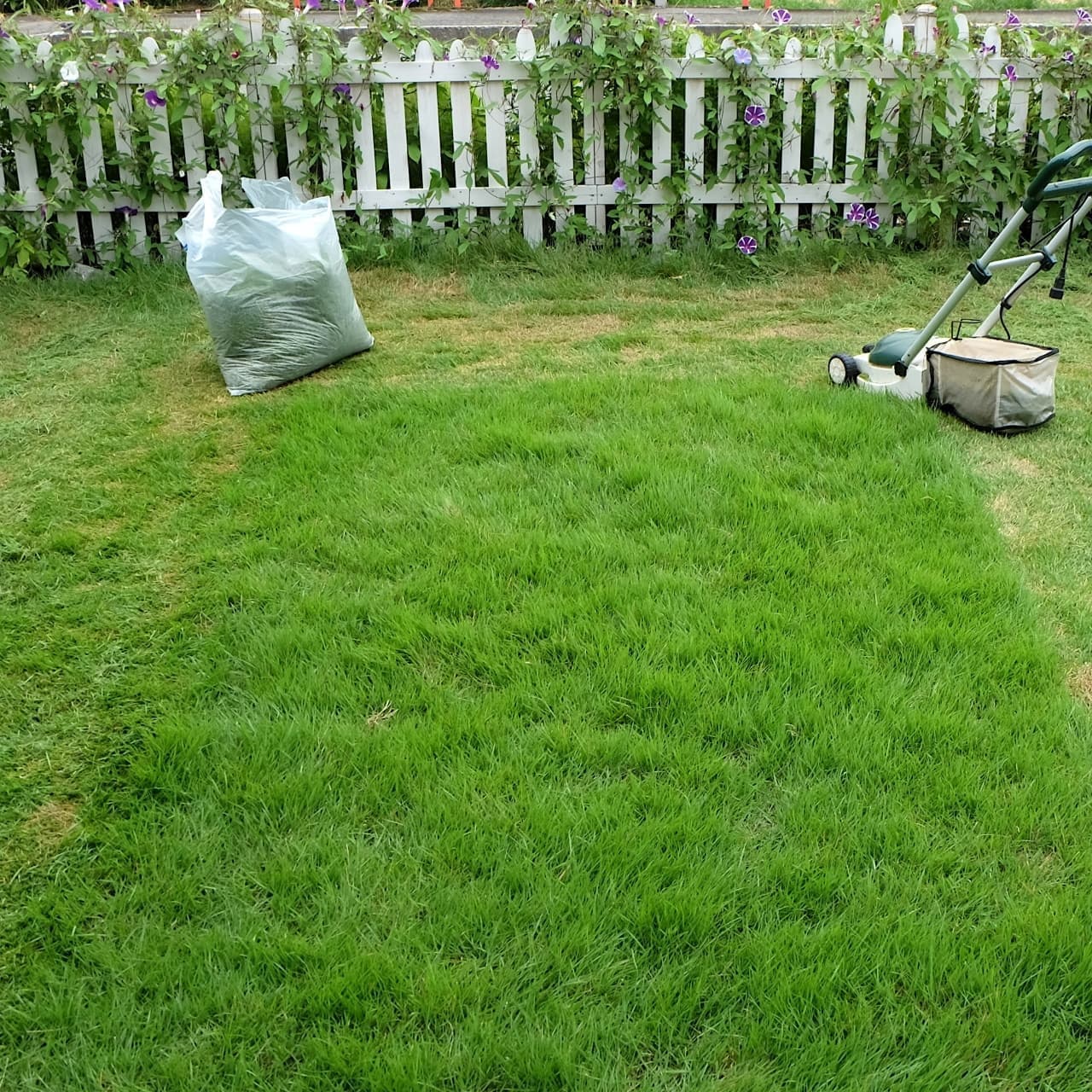 芝生の手入れ 刈谷市 | 刈谷市で芝生の手入れならお庭の窓口刈谷市