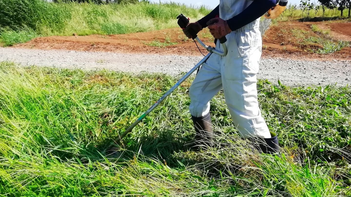 草刈り 刈谷市 | 刈谷市で草刈りならお庭の窓口刈谷市