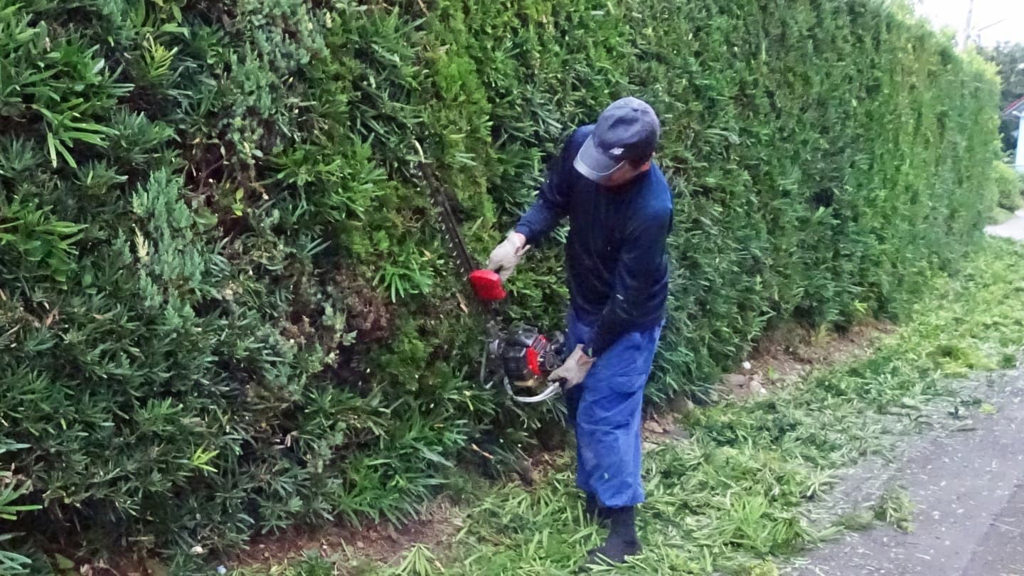 生垣剪定 刈谷市 | 刈谷市で生垣剪定ならお庭の窓口刈谷市