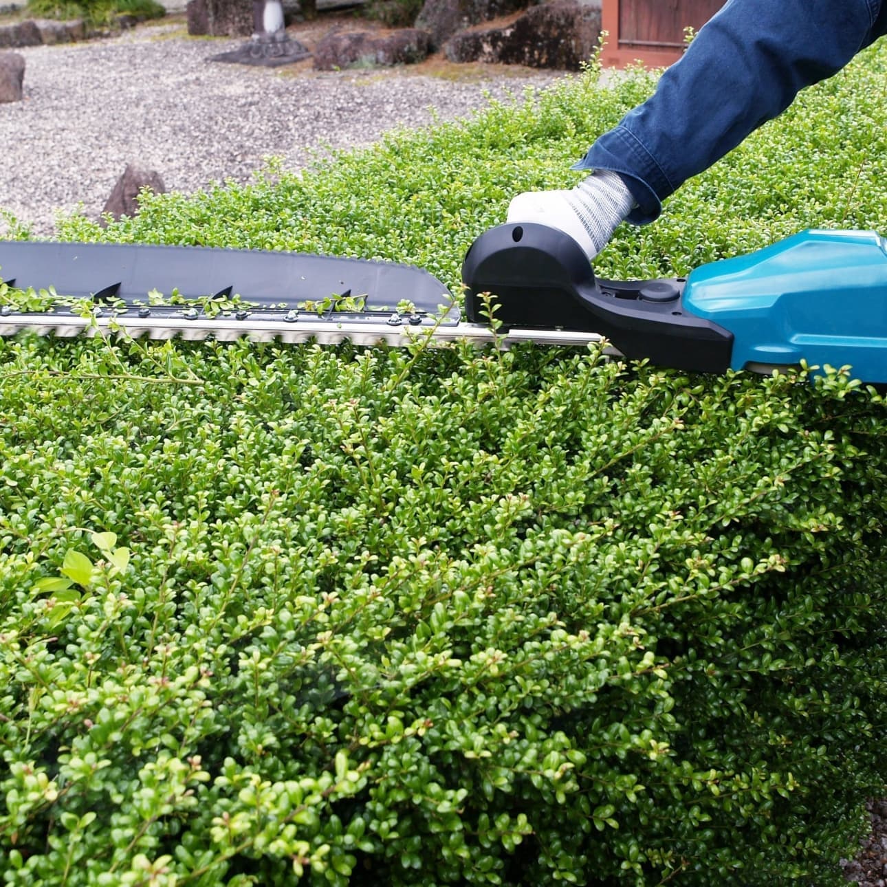 植込み剪定 刈谷市 | 刈谷市で庭木の植込み剪定ならお庭の窓口刈谷市