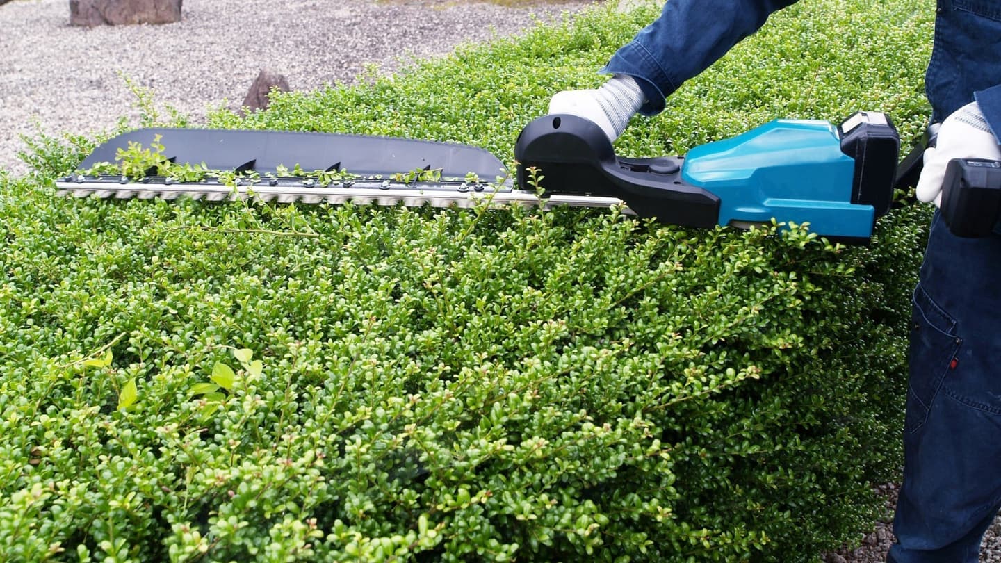 植込み剪定 刈谷市 | 刈谷市で植込み剪定ならお庭の窓口刈谷市