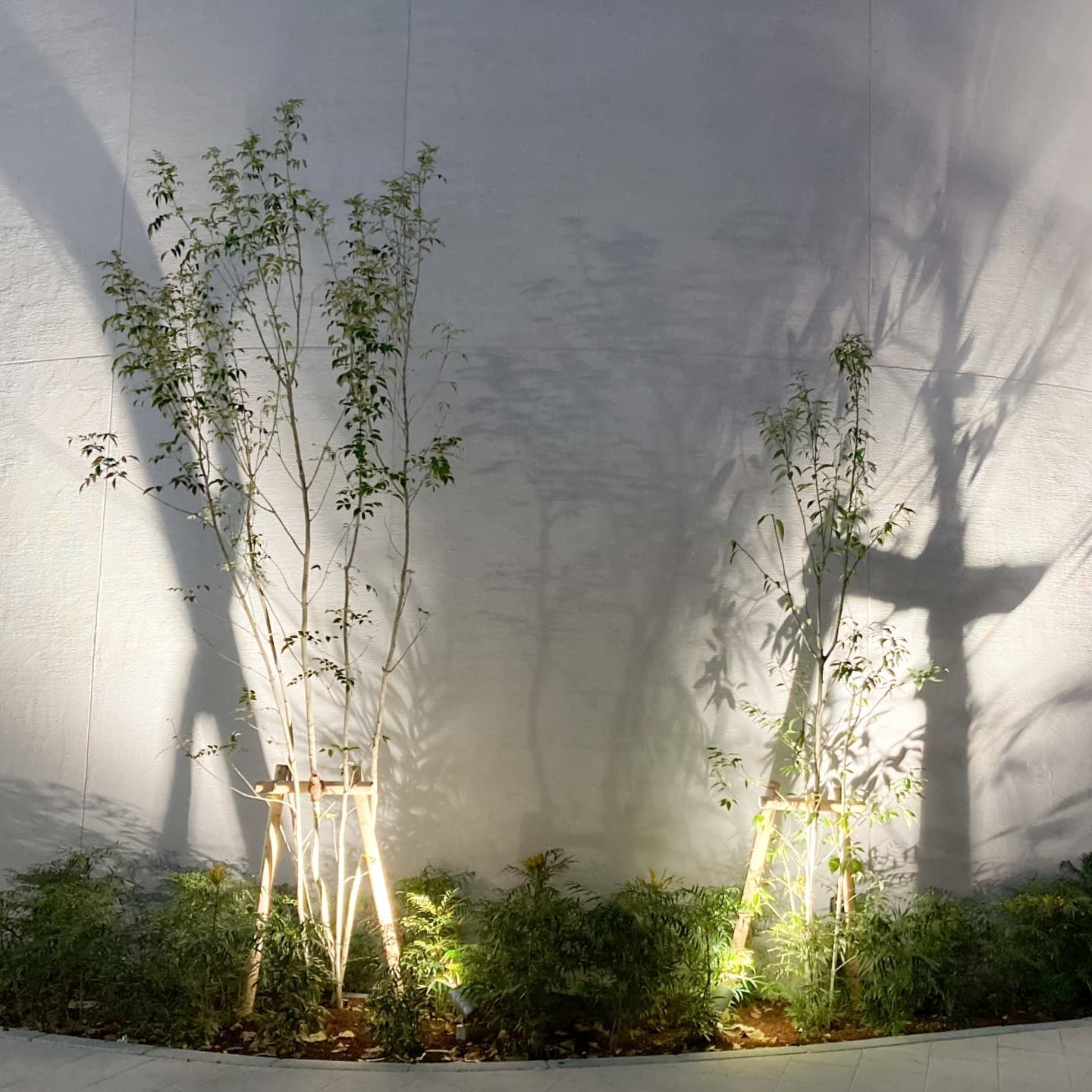 庭木の植栽 刈谷市 | 刈谷市で庭木の植栽ならお庭の窓口刈谷市