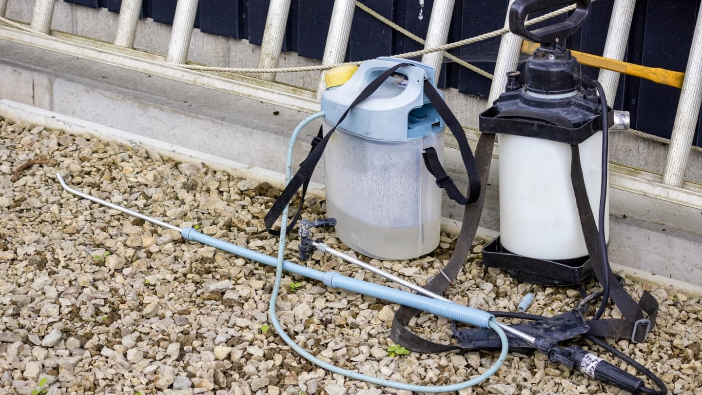 庭木の消毒・害虫対策 刈谷市 | 刈谷市で庭木の消毒・害虫対策ならお庭の窓口刈谷市