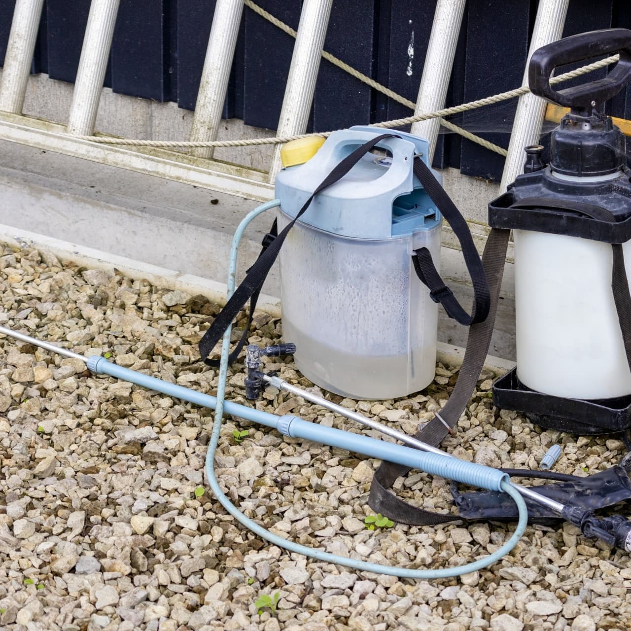 庭木の消毒・害虫対策 刈谷市 | 刈谷市で庭木の消毒・害虫対策ならお庭の窓口刈谷市